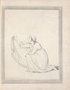 Drawings faithfully copied from nature at Naples Pl.04