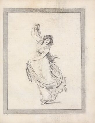 Drawings faithfully copied from nature at Naples Pl.05
