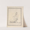 Drawings faithfully copied from nature at Naples Pl.12 by Friedrich Rehberg