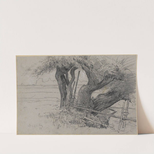 Drei alte Weiden bei Langenpreising by Gustav Kampmann