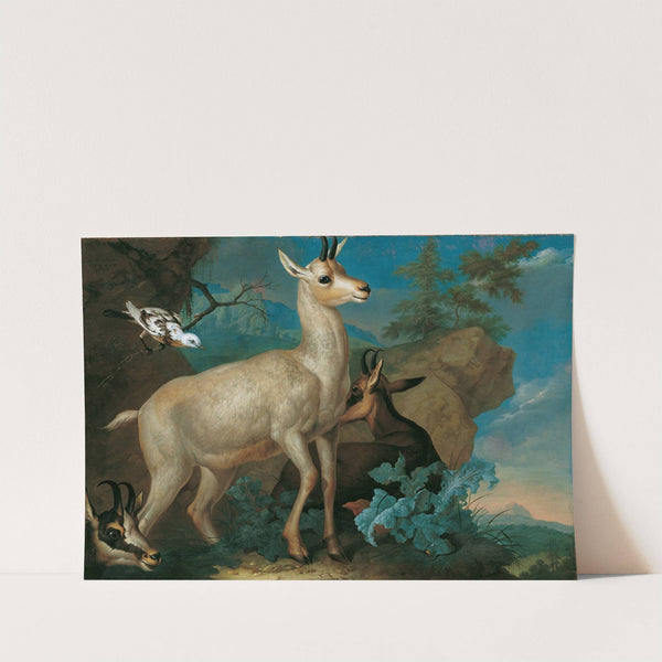 Drei Gemsen Und Eine Amsel (1722) by Philipp Ferdinand de Hamilton