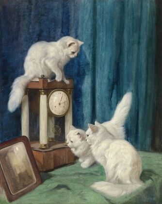 Drei neugierige Katzen