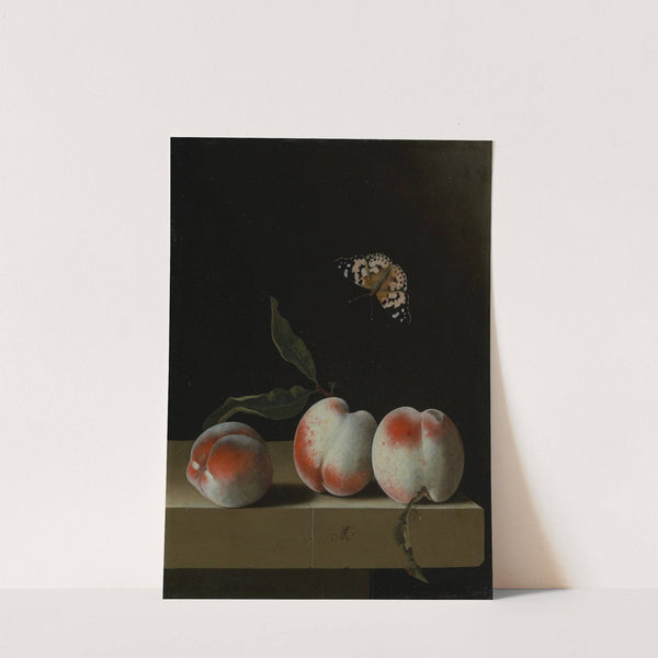 Drei Pfirsiche auf einem Steinsims mit einem Distelfalter by Adriaen Coorte