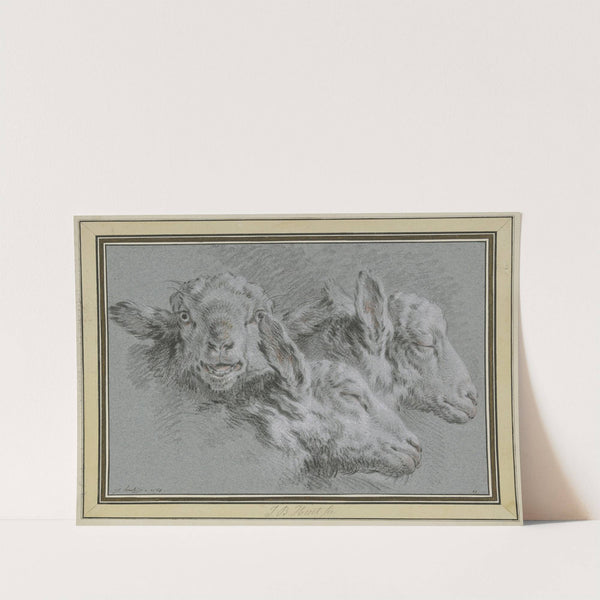 Drei Schafsköpfe, wachend und schlafend (1768) by Jean-Baptiste Huet