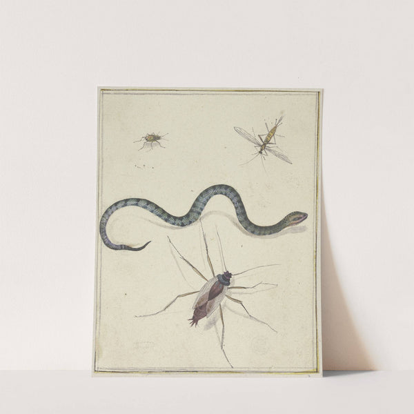 Drei unterschiedlich große Insekten und eine Schlange by Jacob de Gheyn II