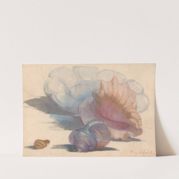 Drie schelpen bij een Delftse plooischotel by Maurits van der Valk