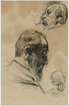 Drie studies van dezelfde kop