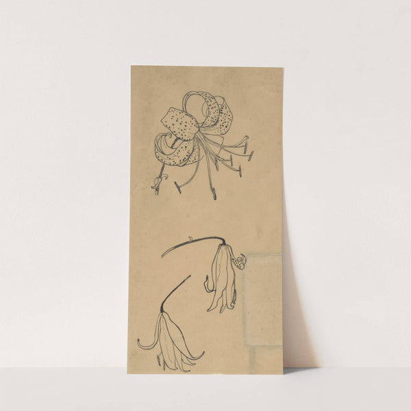 Drie tijgerlelies by Richard Nicolaüs Roland Holst
