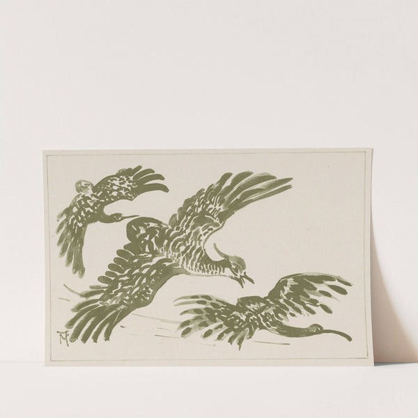 Drie vliegende vogels by Theo van Hoytema