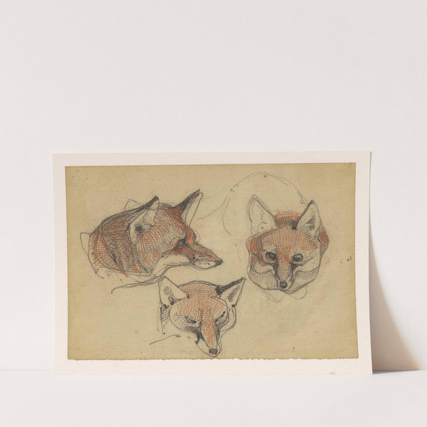 Drie vossenkoppen (1866) by Bernard Willem Wierink