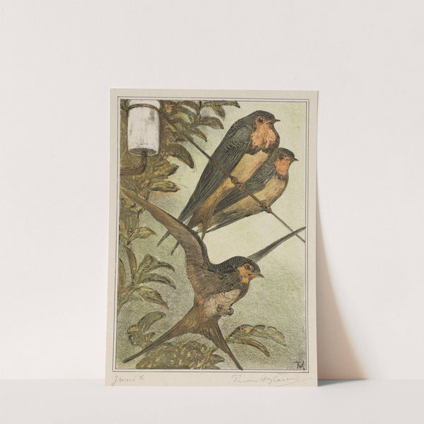 Drie zwaluwen by Theo van Hoytema