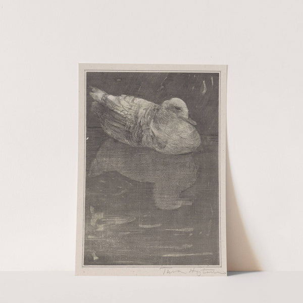 Drijvende eend by Theo van Hoytema