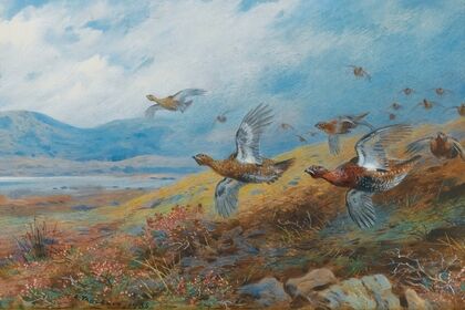 Driven Grouse (1933)