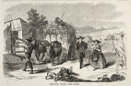 Driving Home the Corn (1858)