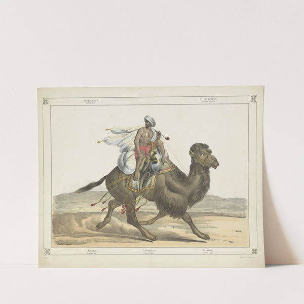 Dromedarus, Arabisch post (1829-1880) by Joseph Scholz