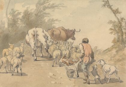 Drove of Sheep and Cows