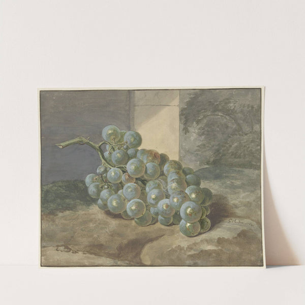 Druiventros by Gerard Sanders