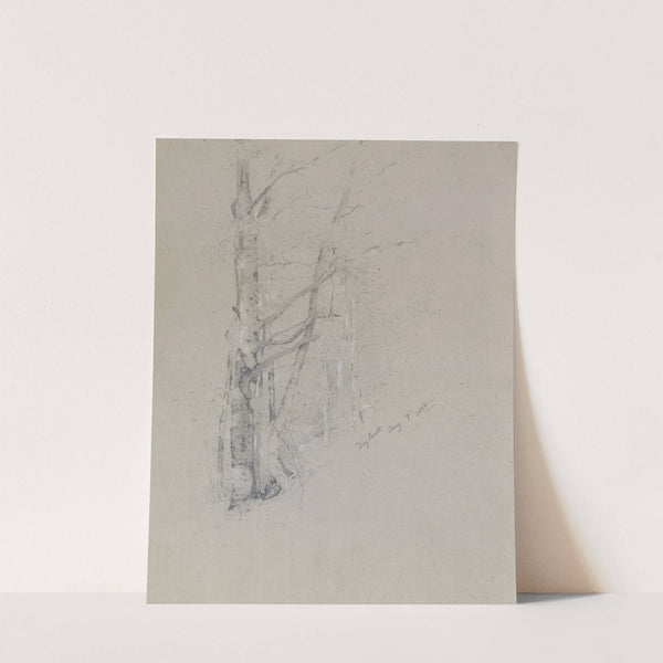 Dry Brook by Jervis McEntee