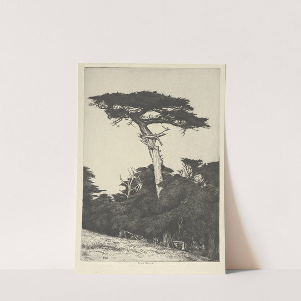 Dryad’s Parasol (1916-1922) by Ernest Haskell