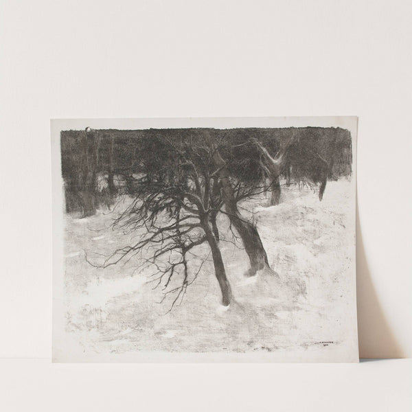 Drzewa w śniegu (1904) by Tadeusz Rychter