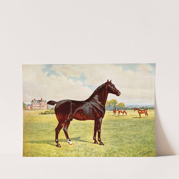 Dual Champion Pony Stallion, Berkeley Model by After Penry Powell Palfrey