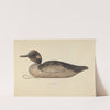 Duck Decoy by Max Fernekes