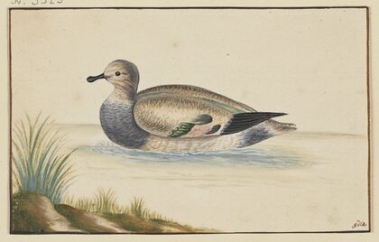 Duck to the left