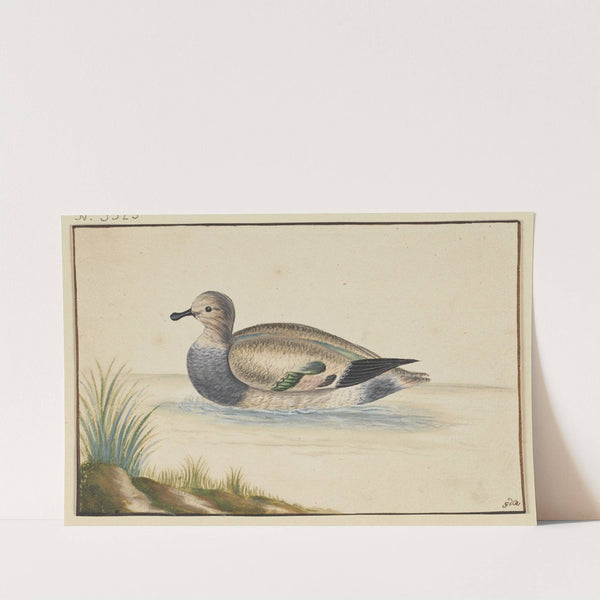 Duck to the left by Pieter Holsteijn