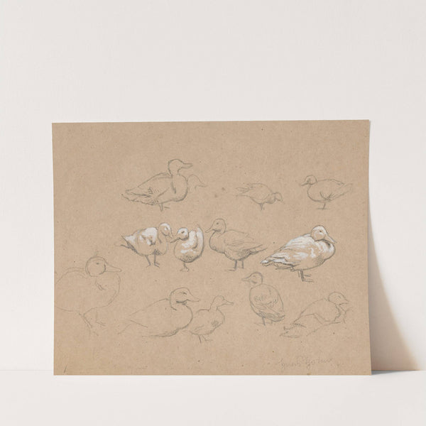 Ducks (1880 - 1900) by Hans Thoma