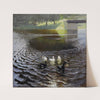 Ducks by Johann Walter-Kurau