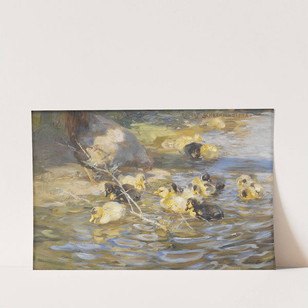 Ducks by Rudolf Schramm-Zittau