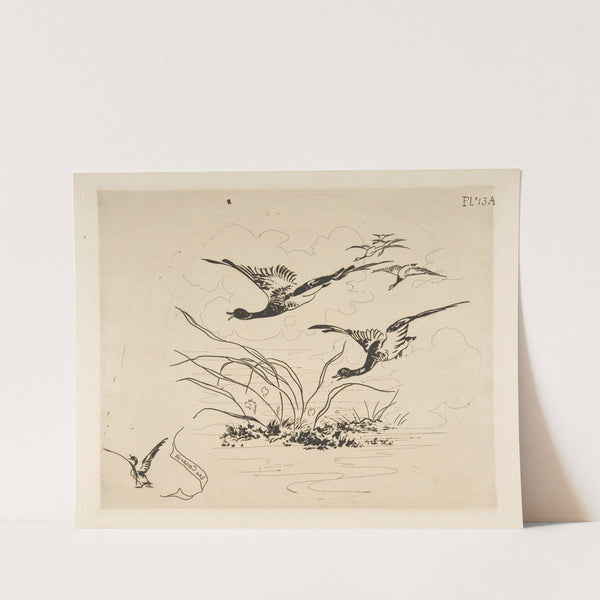 Ducks (1870) by Félix Bracquemond