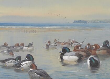 Ducks Along The Shoreline (1921)