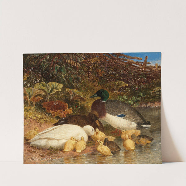 Ducks and ducklings by a pond by John Frederick Herring Snr.