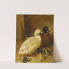 Ducks And Ducklings by John Frederick Herring Snr.