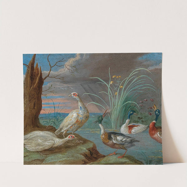 Ducks and other birds near a pond by Jan Van Kessel The Elder