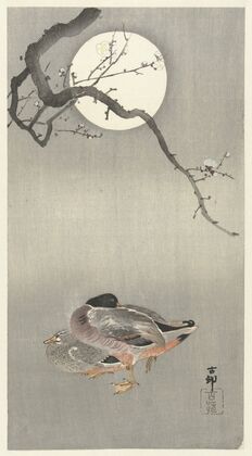 Ducks at full moon — size preview