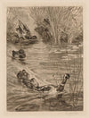 Ducks at play