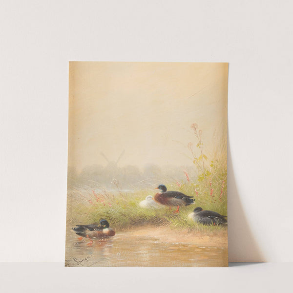 Ducks at the riverside by Fritz Lange