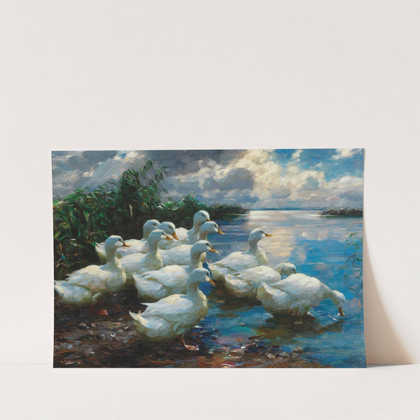 Ducks by a lake by Alexander Koester