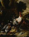 Ducks, hens and other fowl in a yard