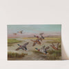Ducks in Flight by Edgar Hunt