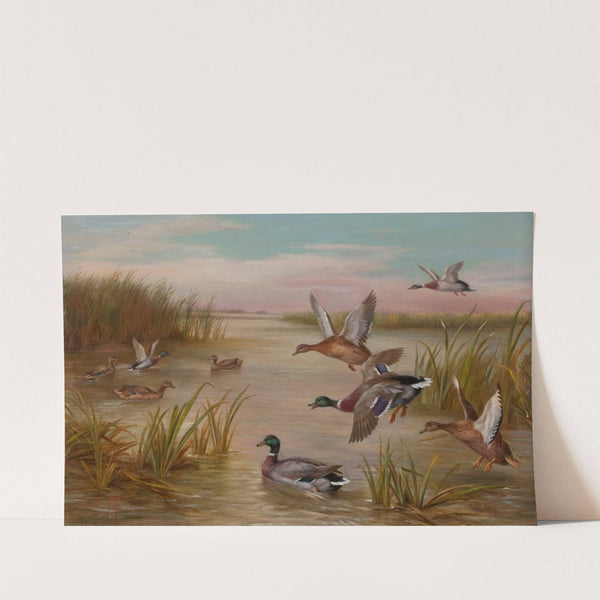 Ducks in Flight by Edgar Hunt
