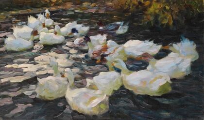Ducks in the evening sun