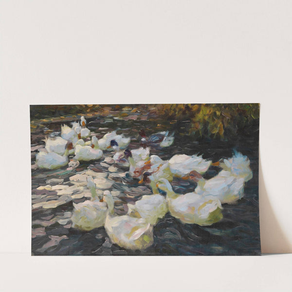 Ducks in the evening sun (1914) by Alexander Koester