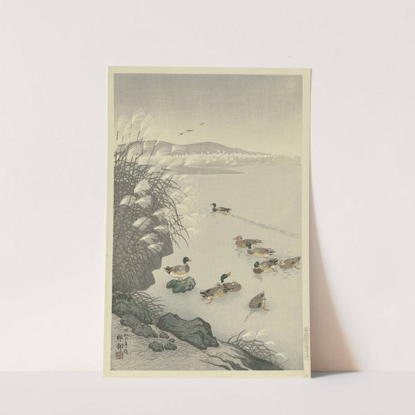 Ducks in the water by Ohara Koson