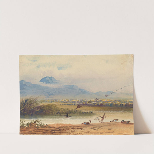 Ducks Landing on a River by Newton Limbird Smith Fielding