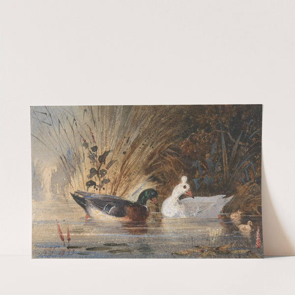 Ducks on a Pond by Newton Limbird Smith Fielding