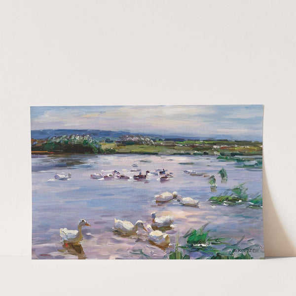Ducks on the Lakeside by Alexander Koester