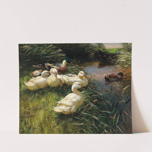 Ducks on the Lakeside in Reeds with a Boat by Alexander Koester